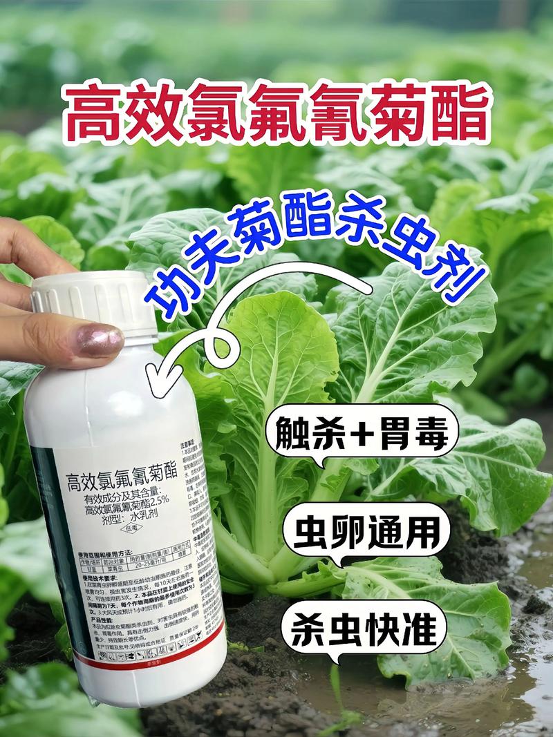 秦皇岛代生中心:农药对供卵代生妈妈的危害